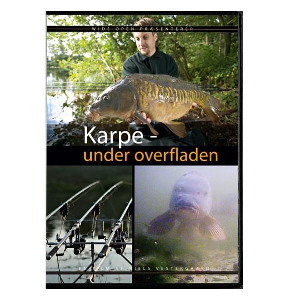 Karpefiskeri under overfladen